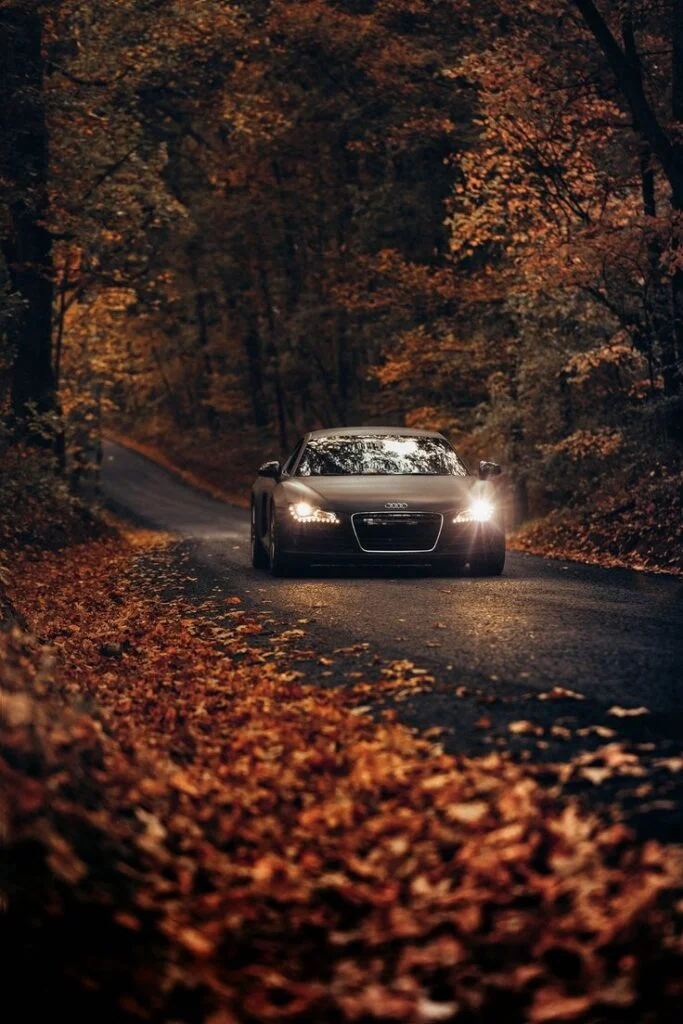 Book Your Car Image