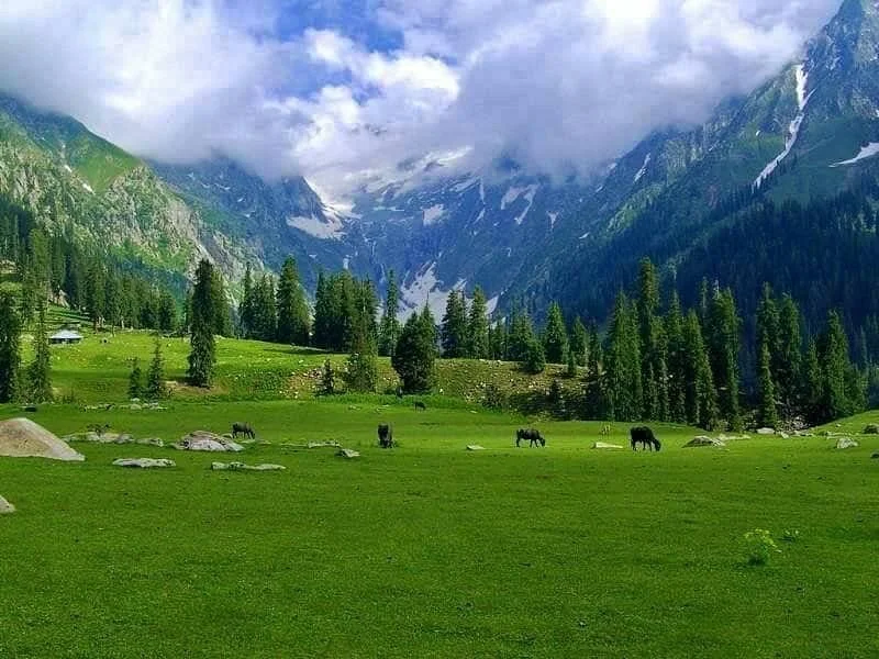 kumrat valley